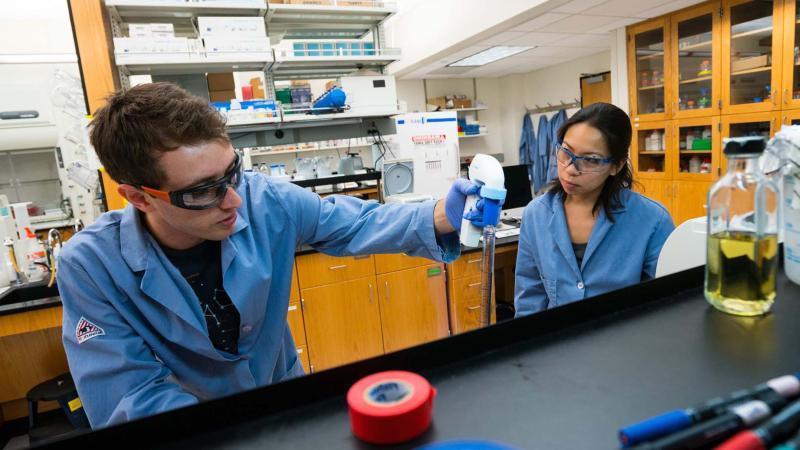 jane liu doing chemistry research with a student in the lab